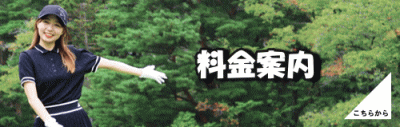 月会費